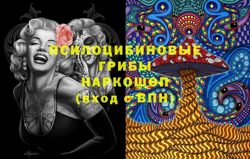 Галлюциногенные грибы Psilocybine cubensis  Саров 